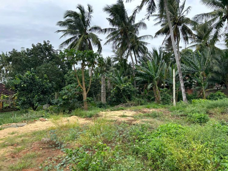 bán nhà vườn hoài nhơn